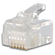 RJ12 (6P6C) plug, 25 stuks