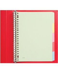 Tabbladen 23-gaats 5-delig assorti karton Budget